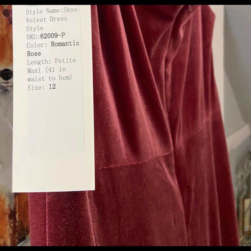 Revelry Skye Velvet Dress